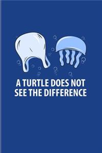 A Turtle Does Not See The Difference