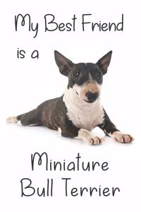 My best Friend is a Miniature Bull Terrier