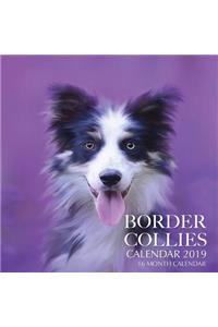 Border Collies Calendar 2019