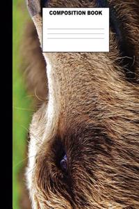 Bear Composition Book