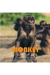 Monkey Calendar 2019