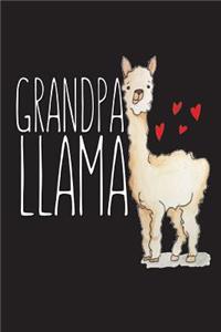 Grandpa Llama