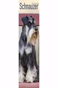 Schnauzer 2021 Slim Calendar