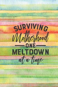 Surviving Motherhood One Meltdown at a Time