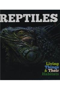 Reptiles