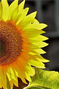 Sunflower Notebook