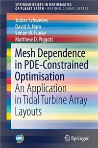 Mesh Dependence in Pde-Constrained Optimisation