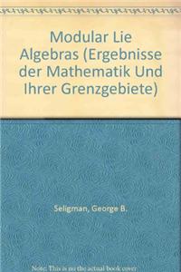 Modular Lie Algebras