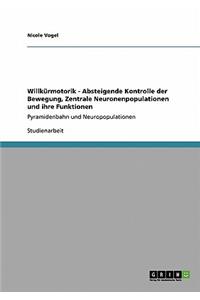 Willkürmotorik - Absteigende Kontrolle der Bewegung, Zentrale Neuronenpopulationen und ihre Funktionen