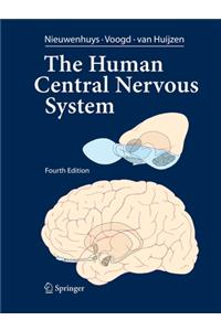 Human Central Nervous System