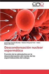 Descondensacion Nuclear Espermatica