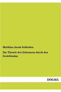 Zur Theorie des Erkennens durch den Gesichtssinn
