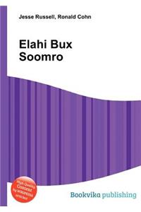 Elahi Bux Soomro