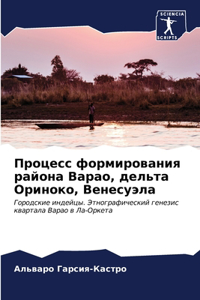 Процесс формирования района Варао, дельта