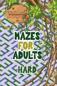Mazes for adults