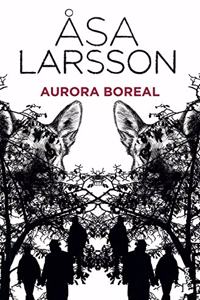 Aurora boreal