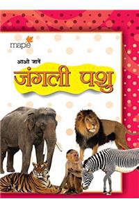 Aao Jaanain Junglee Pashu