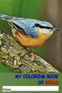 My Coloring Book of Birds