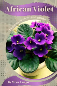 African Violet
