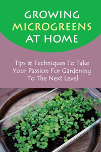 Growing Microgreens At Home