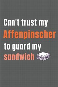 Can't trust my Affenpinscher to guard my sandwich