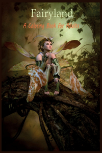 fairyland a coloring book