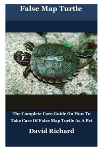 False Map Turtle
