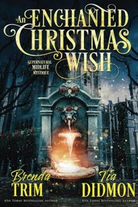 Enchanted Christmas Wish