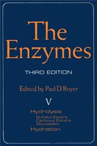 The Enzymes