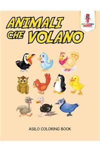 Animali Che Volano