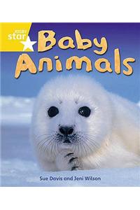 Rigby Star Guided Quest Year 1 Yellow Level: Baby Animals Reader Single