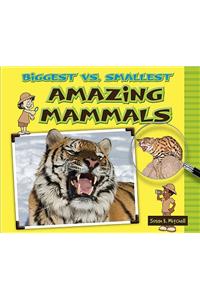 Biggest vs. Smallest Amazing Mammals