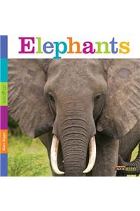 Seedlings: Elephants