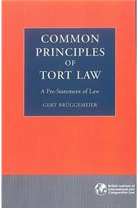 Common Principles of Tort Law