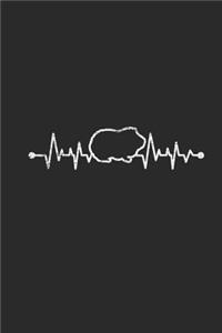 Guinea Pig Heartbeat