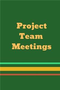Project Team Meetings