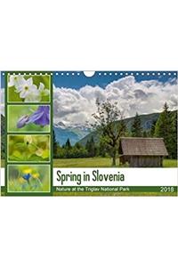 Spring in Slovenia - Nature at the Triglav National Park 2018