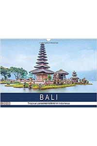 Bali, tropical paradise island in Indonesia 2018