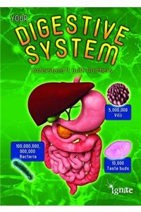 Your Digestive System