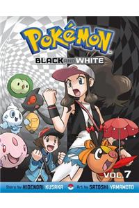 Pokemon Black and White, Vol. 8