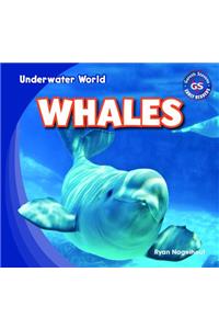 Whales