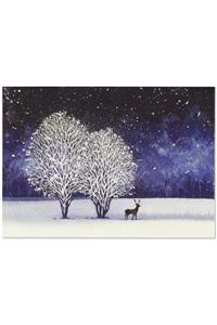 Starry Night Deluxe Boxed Holiday Cards