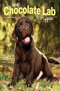Labrador Retriever Puppies, Chocolate 2018 Wall Calendar