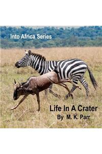 Into Africa Series