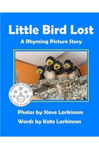 Little Bird Lost