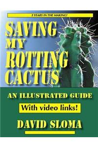 Saving My Rotting Cactus