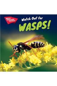 Watch Out for Wasps!