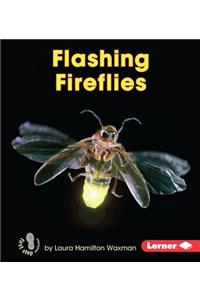 Flashing Fireflies