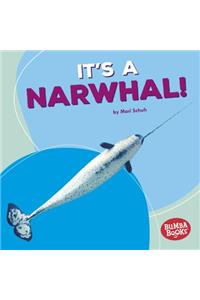 It's a Narwhal!