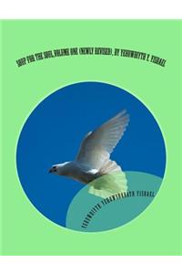 Soup for the Soul, Volume One (Newly Revised), by Yehuwdiyth Y. Yisrael: Soup for the Soul, Volume (Newly Revised), by Yehuwdiyth Y. Yisrae